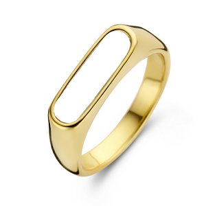 88 roestvrijstalen ring met dweilinleg ipg