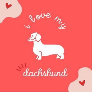 Tegeltje met Quote | i love my dachshund