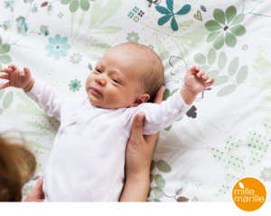 Changing mat ELEGANT ELEPHANTS