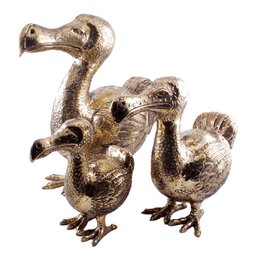 Messing Dodo M