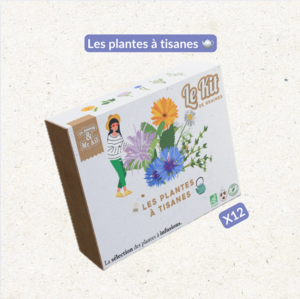 Kräuterteepflanzen - Thematisches Gartenset - Kreativset - DIY - Weihnachtsgeschenk