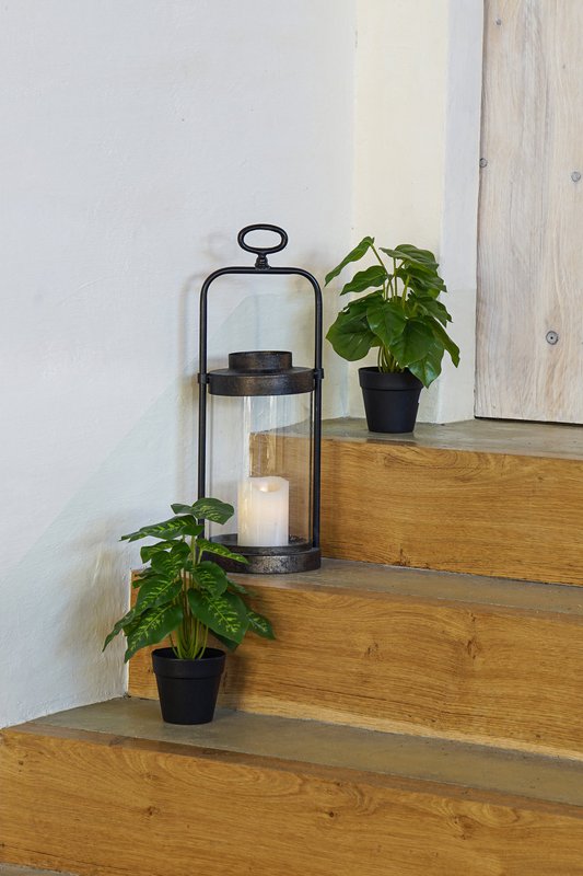 Alexandra Candles - 6