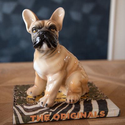 Floofs and Cookies