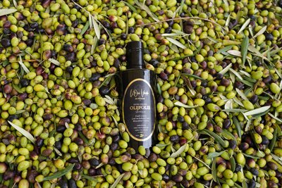 L'Oro Verde Di Puglia