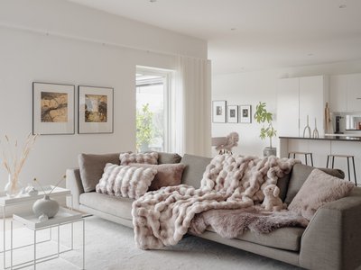 Skinnwille Home