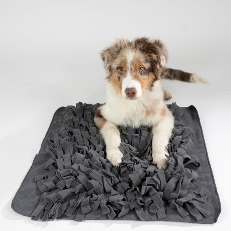 WOOFSTUFF - SHOP FOR DOGS - 7