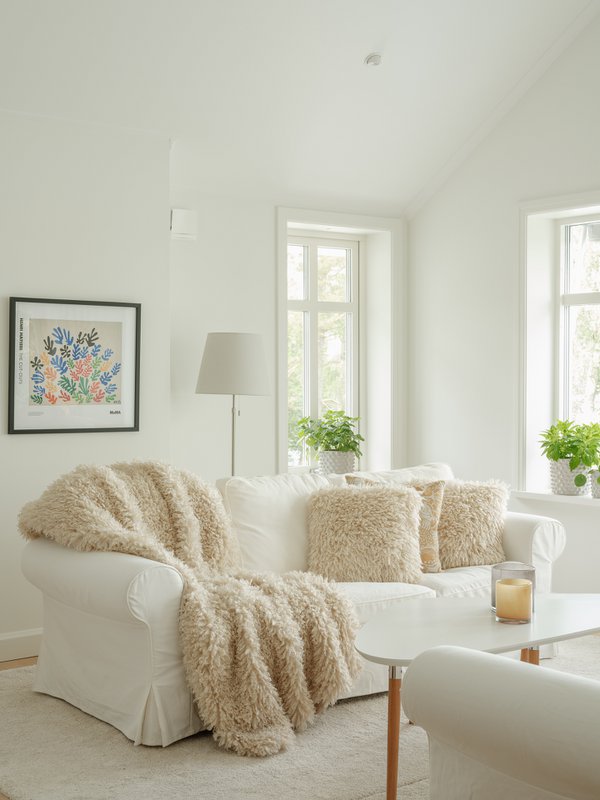 Skinnwille Home - 6