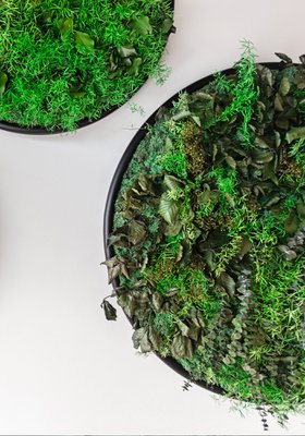 Greenmood