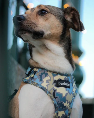 barkzie