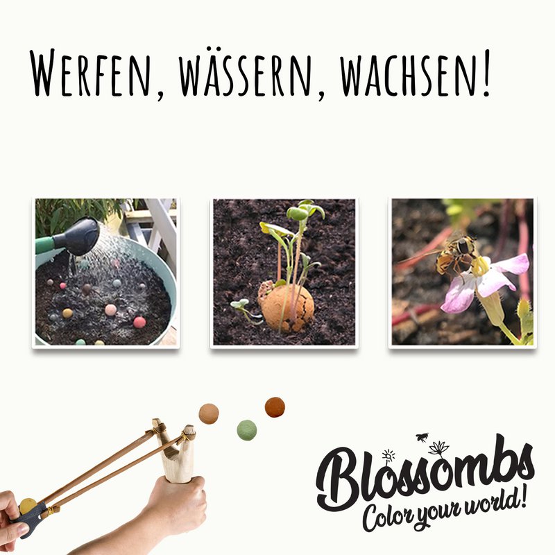 Blossombs DE - 5