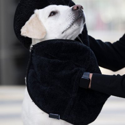WOOFSTUFF - SHOP FOR DOGS