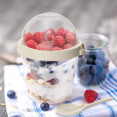 Orion Group