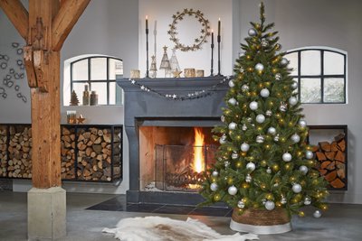 Triumph Tree