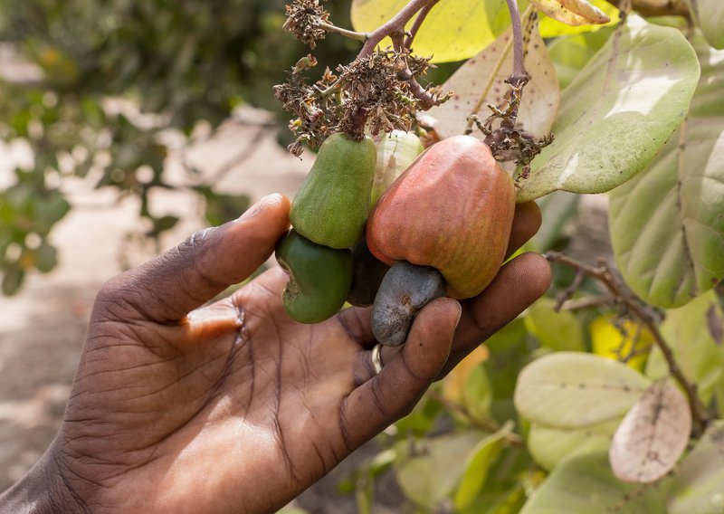 AfreeGems.com to Africa - 7