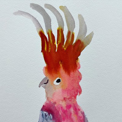 Rosie webb illustrations