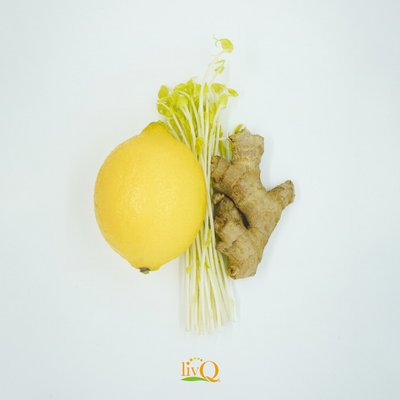 livQ Fermentationsprodukte