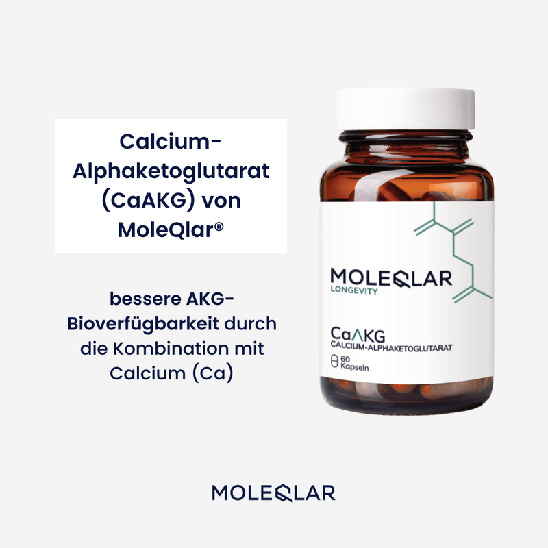 MoleQlar - 4