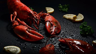 Kataria Gastronomica