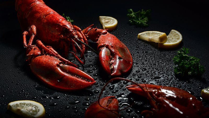 Kataria Gastronomica - 2