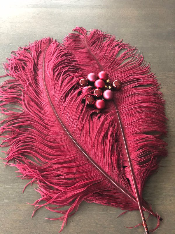 Enkels Feathers - 2