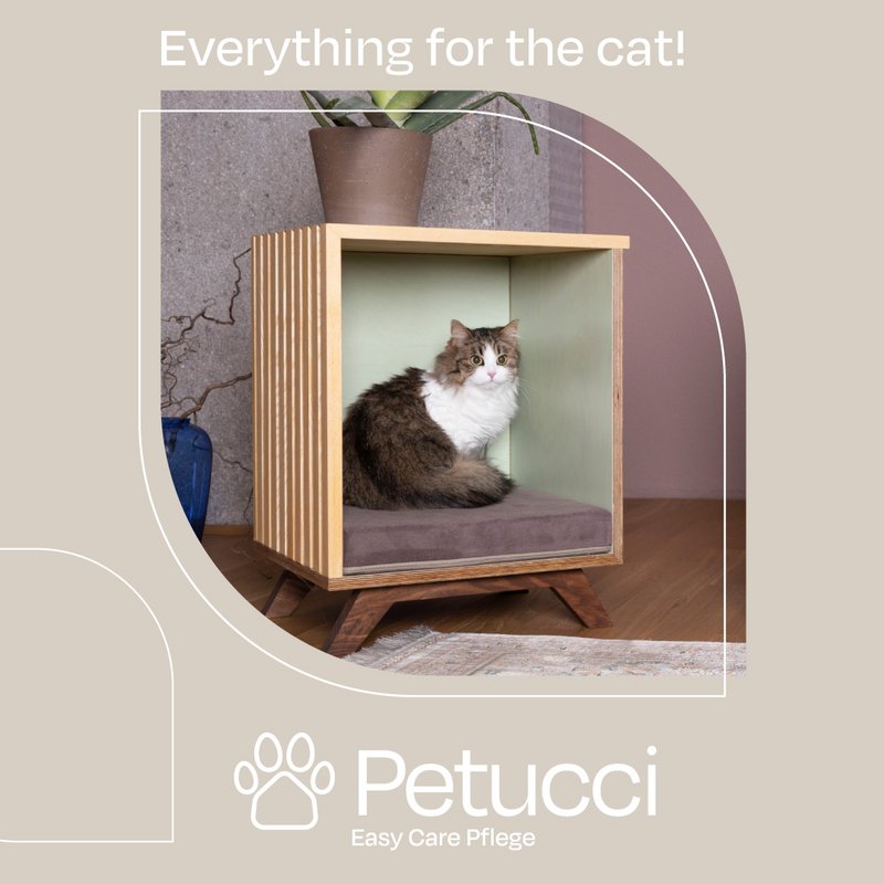 Petucci & Accessoiries - 5