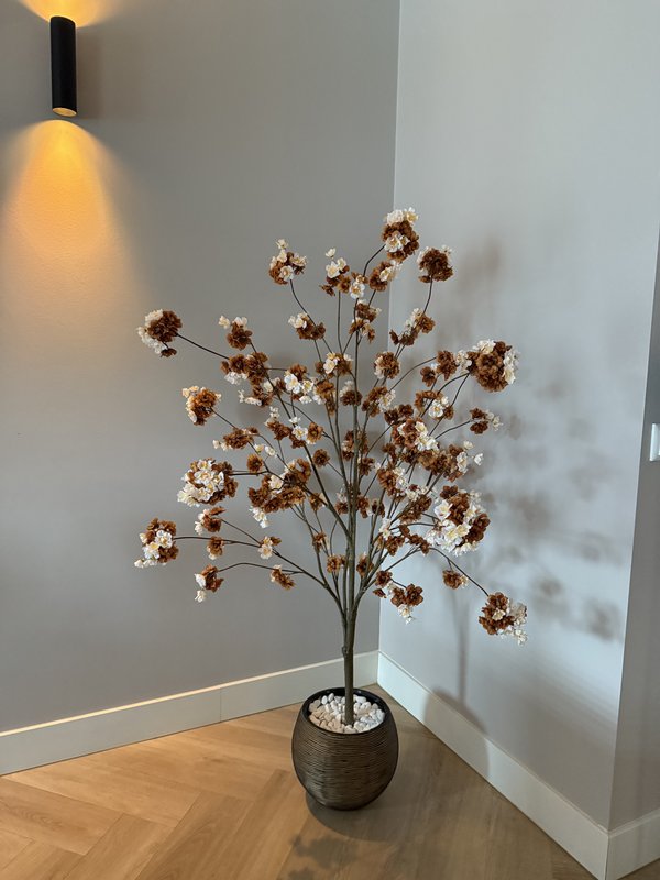 Flower Ambiance - 3