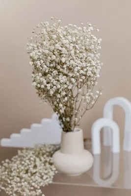 KENTYHOME