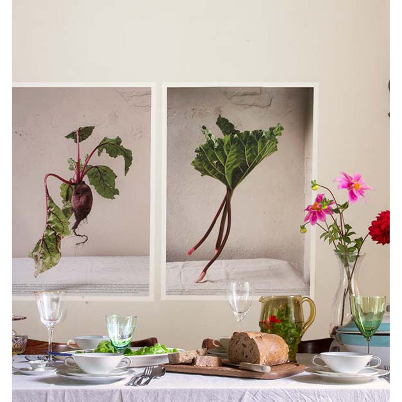 Meet Your Greens - Groenteportretten - 6
