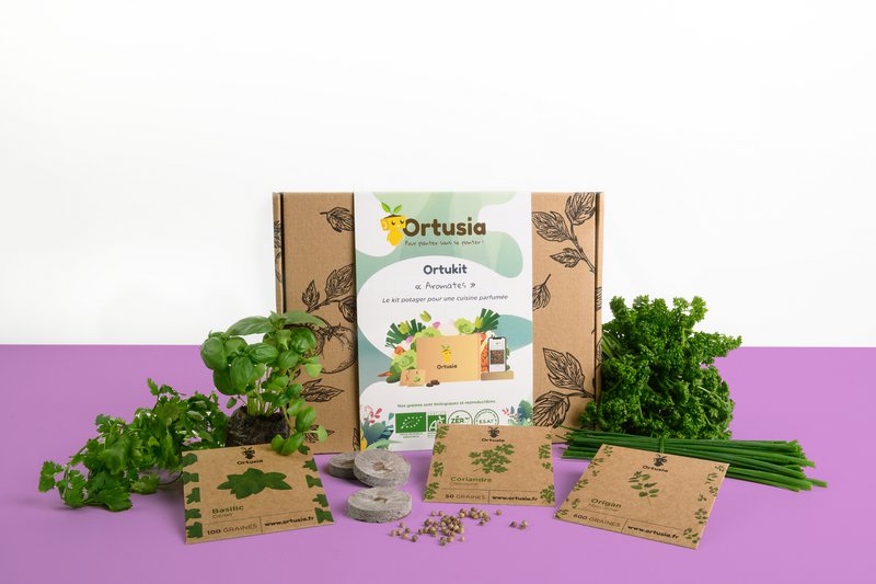 ORTUSIA - 7