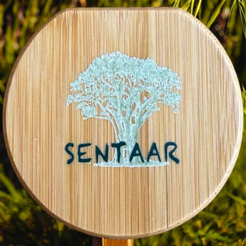 SENTAAR - 3