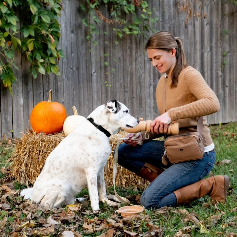 Puppington - 1