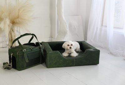 PAWEAREA — Luxury Pet Interiors 