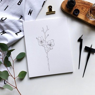 Roseah Studio
