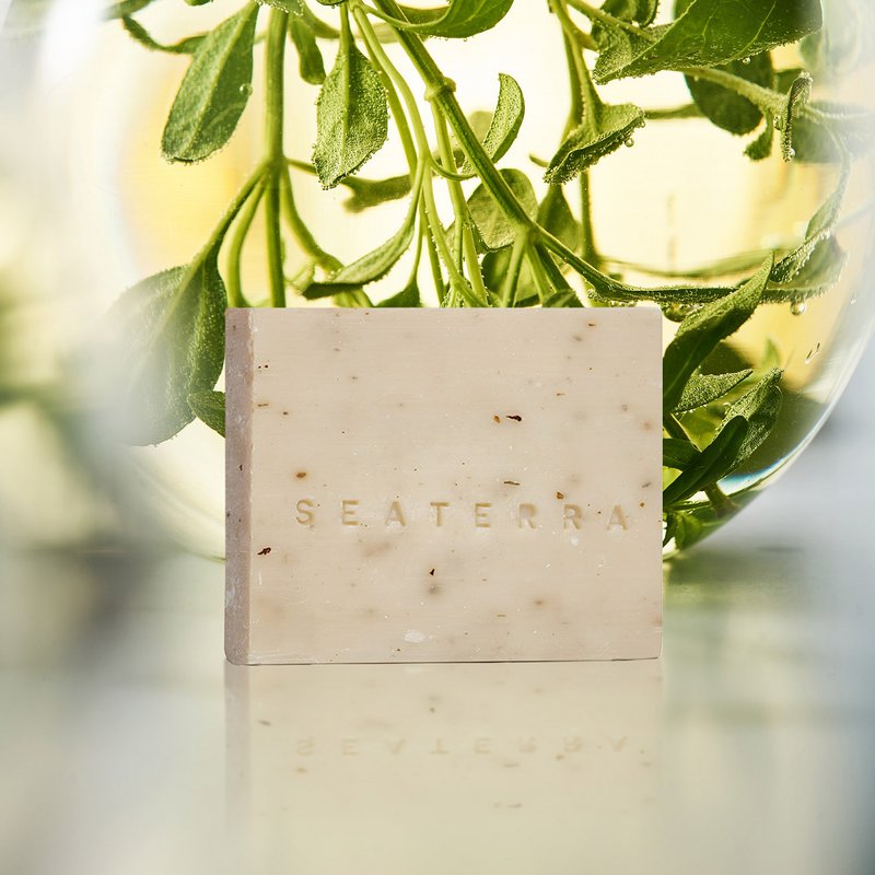 SEATERRA - 4