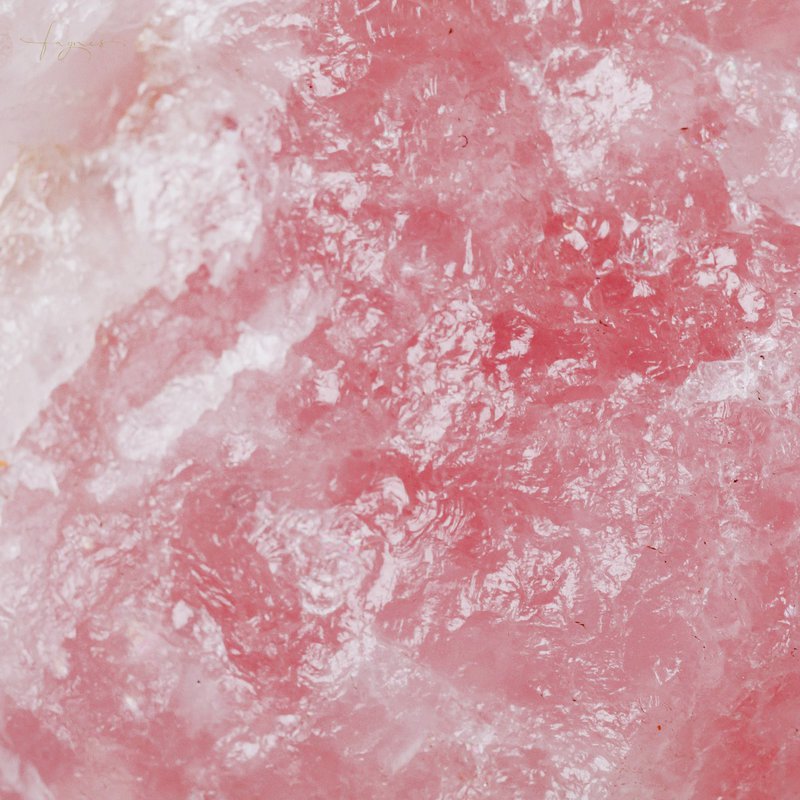 FAGNES Fragrant Space - 1