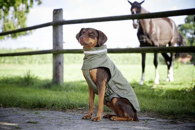 WOLTERS cat & dog GmbH - 6
