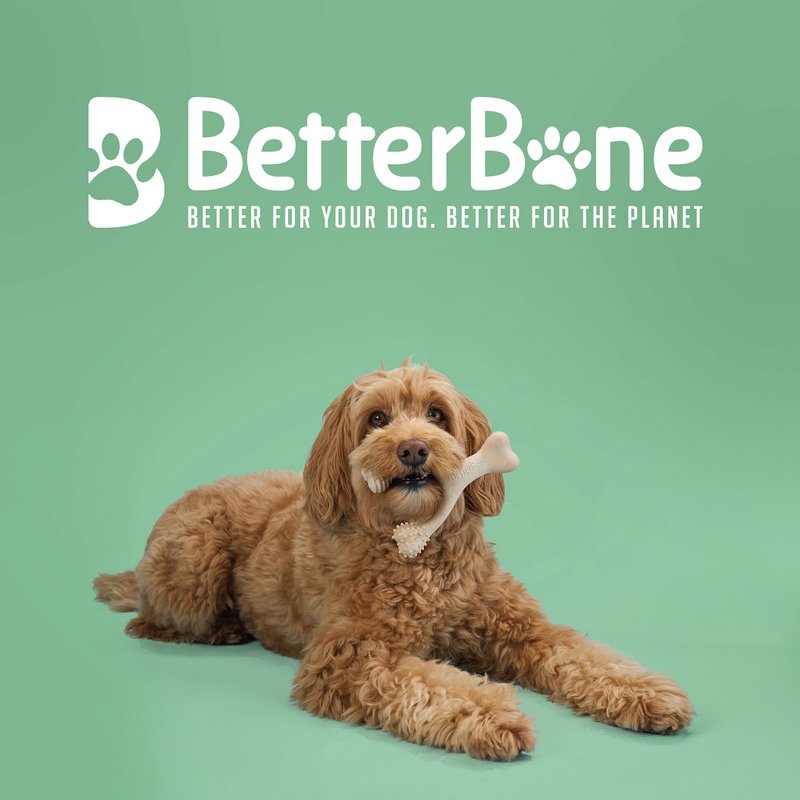 BetterBone - 1