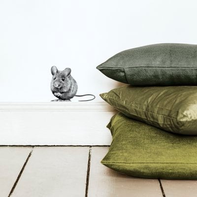 Fine Forest wall stickers