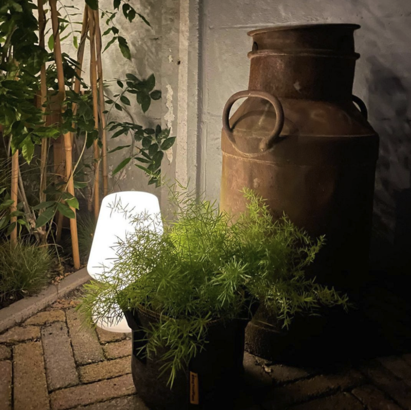 BagYourPlant - 3