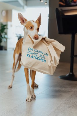 Agentur Upleger GmbH & Co. KG