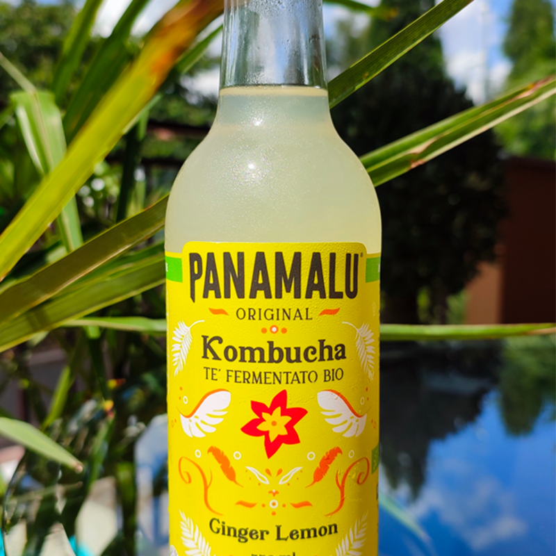 PANAMALU - 4