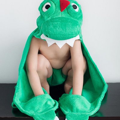 Zoocchini