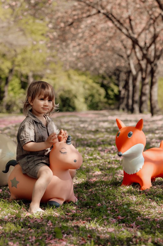 Find That Hippo - 1