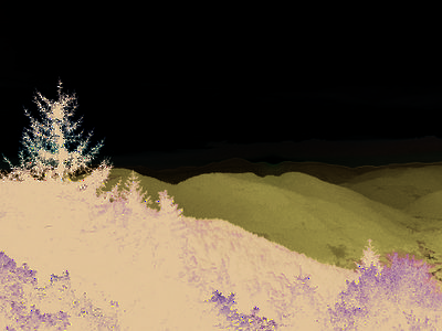 Waldkraft