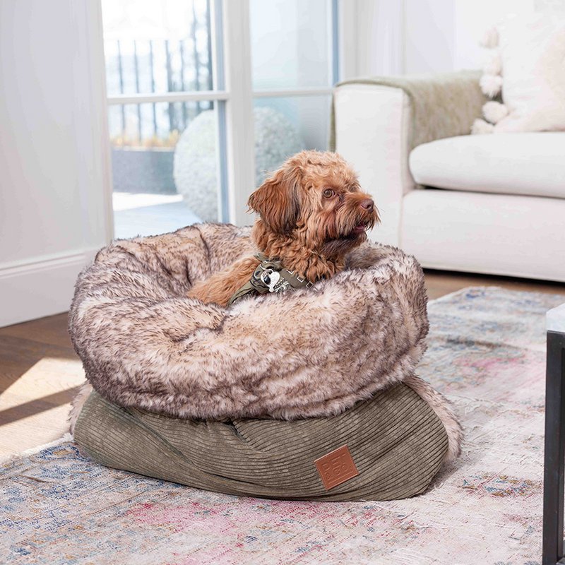 PET & Co. - 2