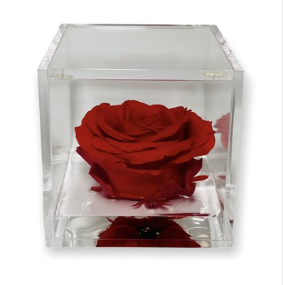 Premium Rose
