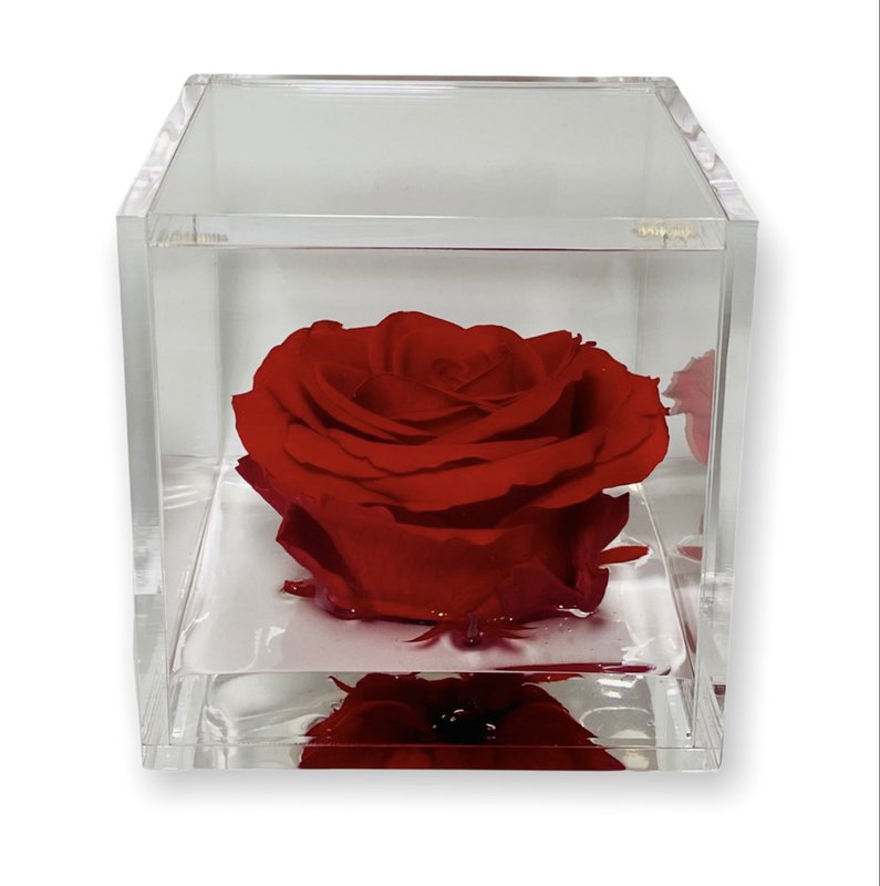 Premium Rose - 1