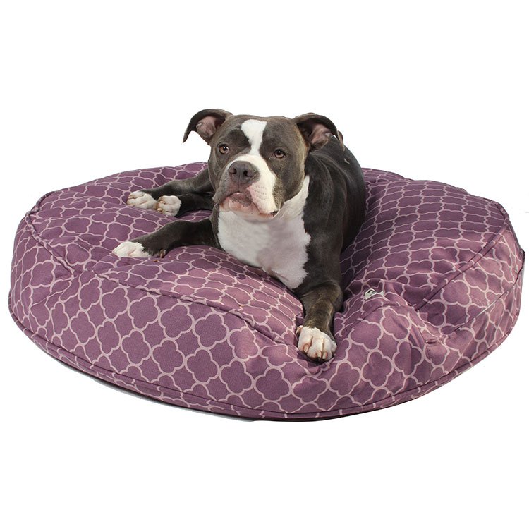 Molly Mutt Europe - 6