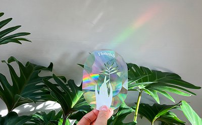 Botanopia