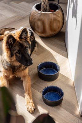 AVA bowls